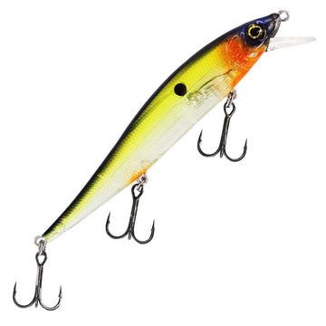 Hot Shad