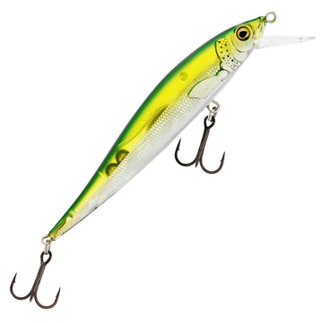 Olive Minnow