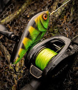 Westin Swim 10 cm Low Floating Jerkbait 3D Limited Edition