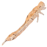 Westin Odonata NED Creaturebait 6.5 cm Jig 4-Pack