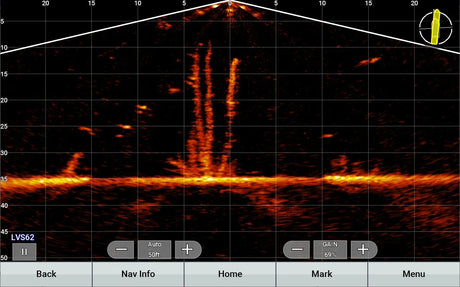 Garmin Panoptix LiveScope XR LVS62 anturi - Happy Angler