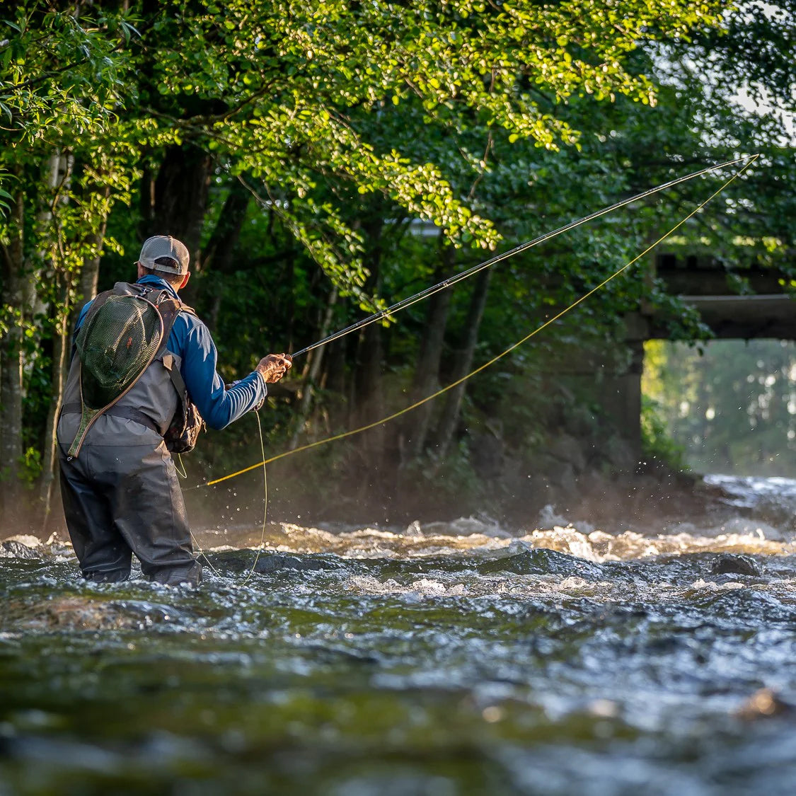 Vision VIBE 85+ WF Fly Line