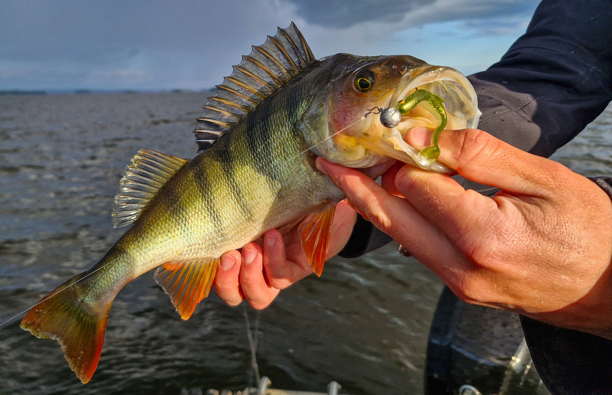 Kuore Recoil 7 cm Jig 4-Pack