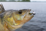 Kuore Recoil 7 cm Jig 4-Pack