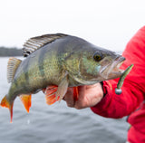 Kuore Log 5 cm Jig 5-Pack