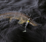 Kuore Bigfoot 30 cm jigi
