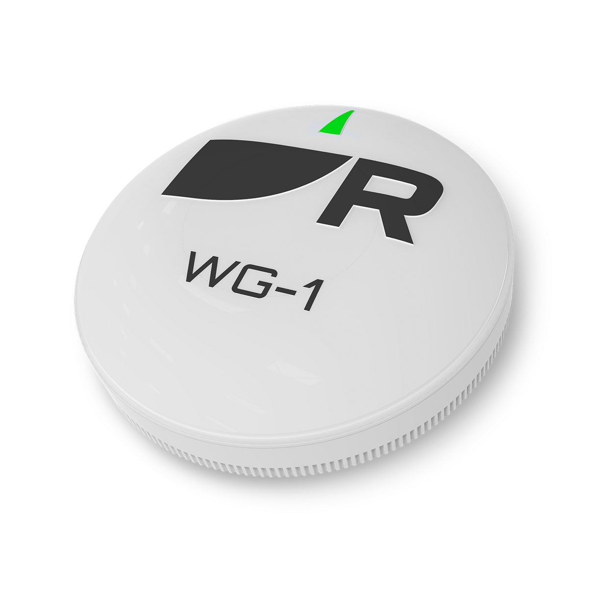 Raymarine WG-1 Wireless Gateway