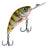 Salmo Rattlin´ Hornet 4.5F 4,5 cm vaappu - Happy Angler