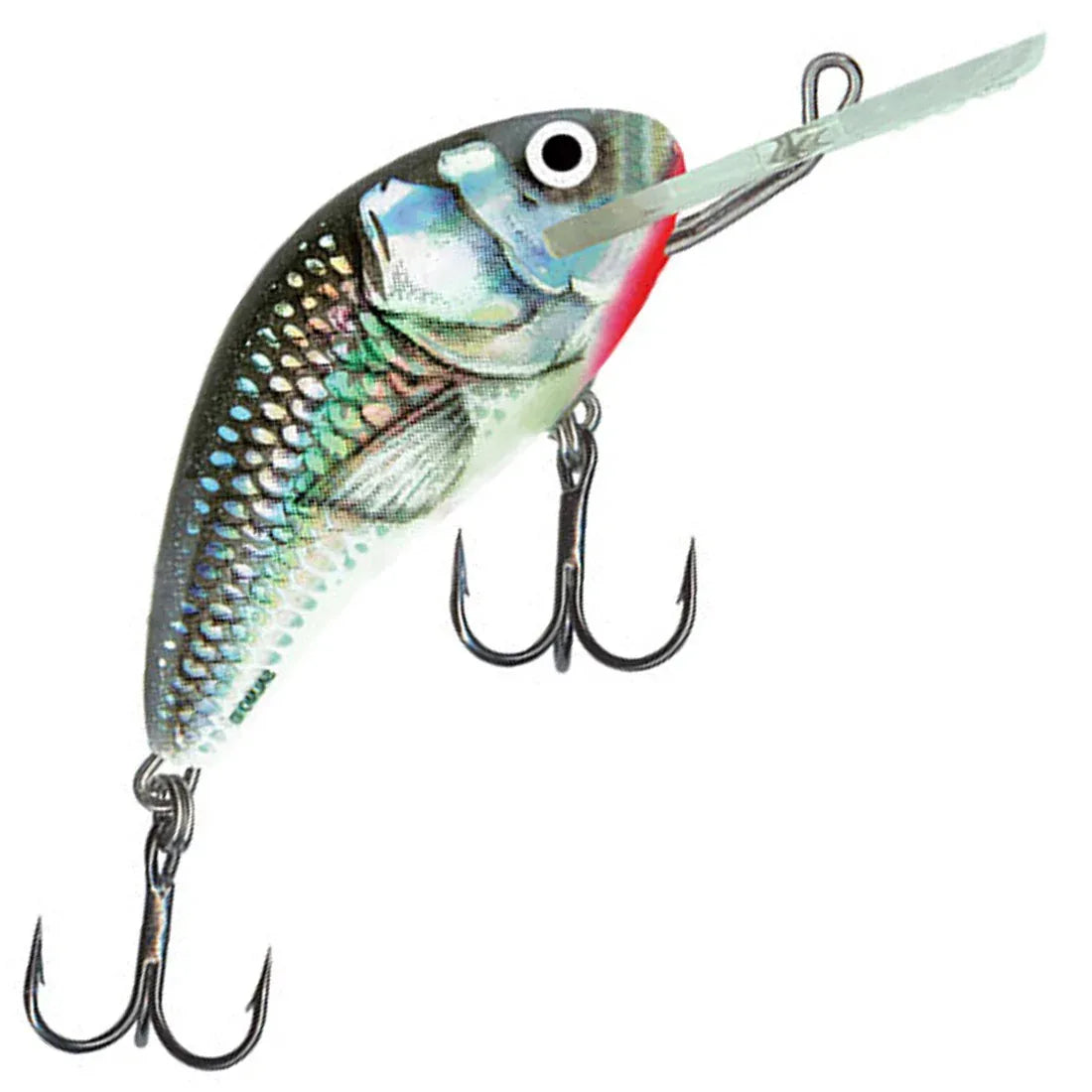 3 hornet fishing lure Salmo 6F 6 cm Plug Amazon.com: SEASIR Rexcast DC From the time of series:berkley_x5 Color:Burnt Orange Craw