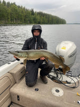 Team K.P Baits Pro jigilajitelma 84 kpl + vieherasia - Happy Angler