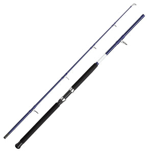 Sea Fishing Rods