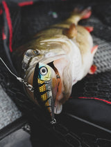 Rapala Rippin Rap 7 cm - Happy Angler
