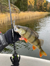 13 Fishing Muse Black avokelavapa - Happy Angler