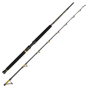 Sea Fishing Rods