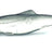 Orka Shad 7cm jigi 5kpl/pkt - Happy Angler