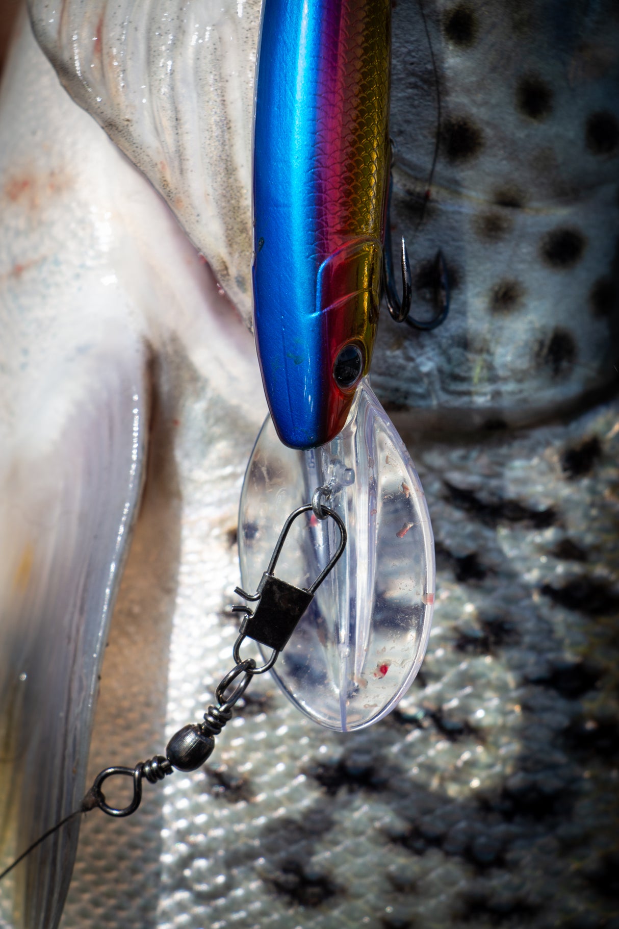 Hurricane Grimner Deep 13 cm vaappu