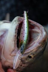 Hurricane Grimner Deep 13 cm vaappu