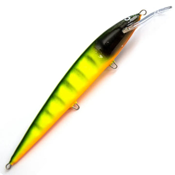 Mustaposki Papukaija