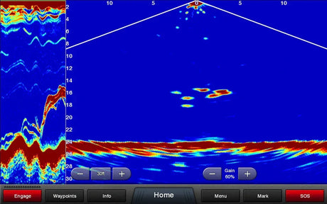 Garmin Panoptix PS30 Down anturi - Happy Angler