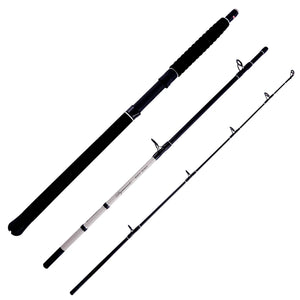 Sea Fishing Rods