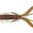 Lucky John Hogy Shrimp 3" jigi 10 kpl/pkt - Happy Angler