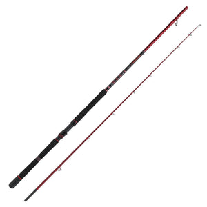 Sea Fishing Rods