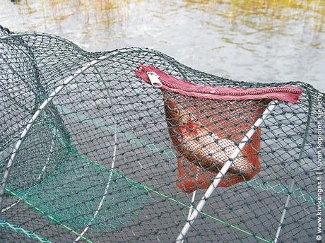 Ahti Jousimerta rapumerta - Happy Angler