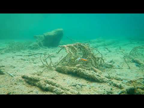 Westin BullTeez Curltail 14 cm Jig 2-Pack