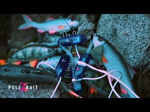 PulzBait Rigz Spinning 15 cm 2-Pack