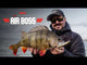 Rapala Precision Xtreme Air Boss Saltwater 10 cm Plug
