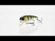 Westin Fatbite Crankbait 8 cm Plug