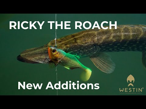 Westin Ricky The Roach Shadtail R2F 14 cm Jig Limited Edition