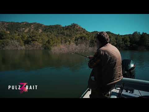 PulzBait Rigz Spinning 15 cm 2-Pack