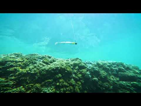 Westin TwinTeez Pelagic V-Tail 20 cm Jig 2-pack