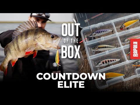 Rapala CountDown Elite 7.5 cm Plug