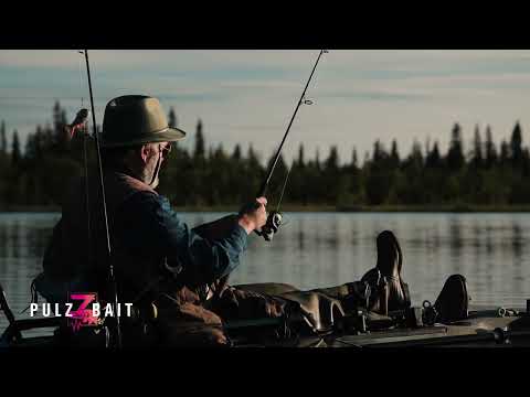 PulzBait Rigz Spinning 15 cm 2-Pack