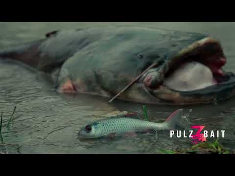 PulzBait Rigz Spinning 15 cm 2-Pack