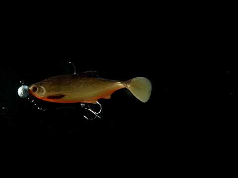 Westin Ricky The Roach Shadtail 14 cm jigi Limited Edition