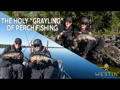 Westin Dropbite Tungsten Spin Tail Jig 13 g