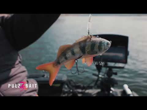 PulzBait Rigz Spinning 15 cm 2-Pack